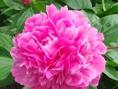 -长春公园(普阳街道)