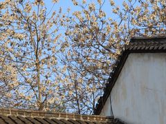 -婺源梦里老家大型山水实景演出