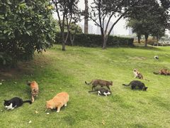 -云龙湖旅游景区