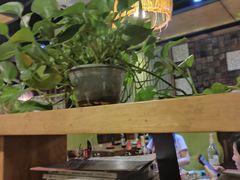 -柿子树炭烤羊腿(金台路店)