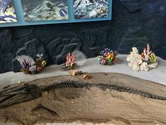 -上海中国航海博物馆