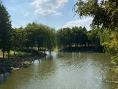 -贡湖湾湿地公园