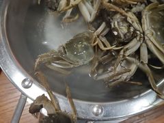 -比尔森韩式烤肉自助(国商店)