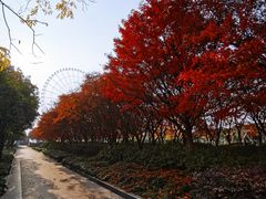 -蠡湖大桥公园