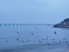 -黑石礁公园