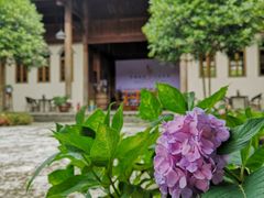 -金谷域澳洲庄园