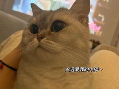 -守诺宠物医院·眼科· 特色牙科·异宠专科(虹口店)