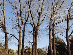 -国家植物园南园