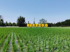 -迪茵湖田家舍生态农场