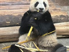 -海南热带野生动植物园