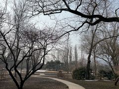 -北京植物园-展览温室