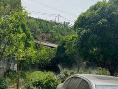 -正宗火盆自助烧烤·烤全羊·柴火鸡(龙泉山店)