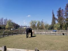 -前小桔亲子创意农场·草莓采摘·露营烧烤