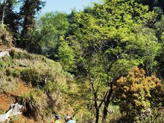 -楠溪江风景名胜区