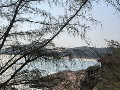 -广东惠东海龟国家级自然保护区