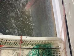 -金三可市井水煮鱼(金碧园店)