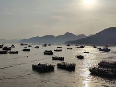 -北岐滩涂