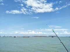 -大湾区中央湿地公园-十九涌