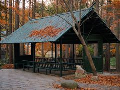 -上海共青森林公园