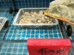 -洲晓鱻舟山海鲜(2号店)