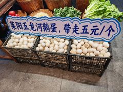 -单家老院·院子里的青岛菜(沙子口店)