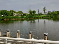 -新江湾城公园