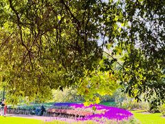 -墨尔本皇家植物园