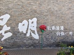 -嘉华鲜花饼·现烤(昆明老街店)