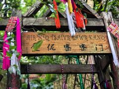 -西双版纳原始森林公园