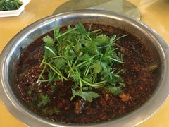 -胖大姐黄辣丁鱼庄(新津店)