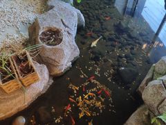 -渔家大院·地道威海菜(石岛店)