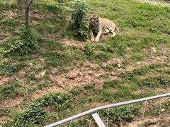 -无锡动物园·太湖欢乐园