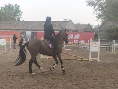 -北京群众马术培训基地