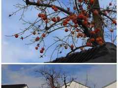 -北寺塔
