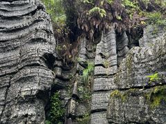 -梭布垭石林景区