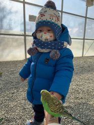 -萌宠亲子动物乐园(槐房万达店)