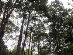 -广州市白云山风景名胜区