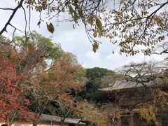 -醍醐寺