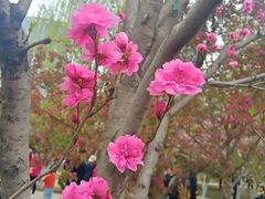 -元大都城垣遗址公园