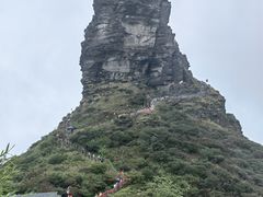 -亮欢寨酸汤鱼(沙冲路店)