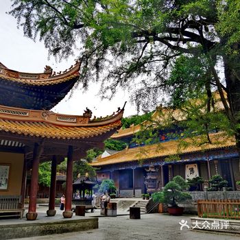上海出发到普陀山祈福的全攻略