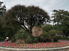 -滴水岩森林公园