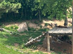 -西霞口神雕山野生动物世界