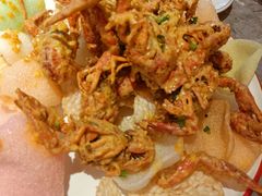 -海岛八号龙虾烧烤田鸡(蓝天路总店)