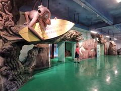 -杭州开元森泊度假乐园