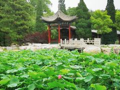 -晋祠公园