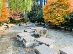 -上海崇明金茂凯悦酒店