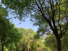-吉林大学(南岭校区)