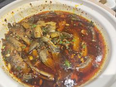 -情妹耙泥鳅·江湖川菜(科华店)