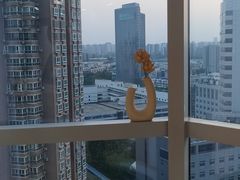 -N1 健身·拳击·综合馆(嘉美中心店)